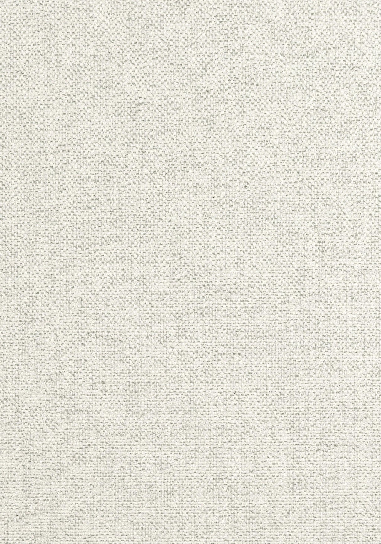 Thibaut TINTA Platinum Fabric