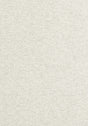 Thibaut TINTA Platinum Fabric