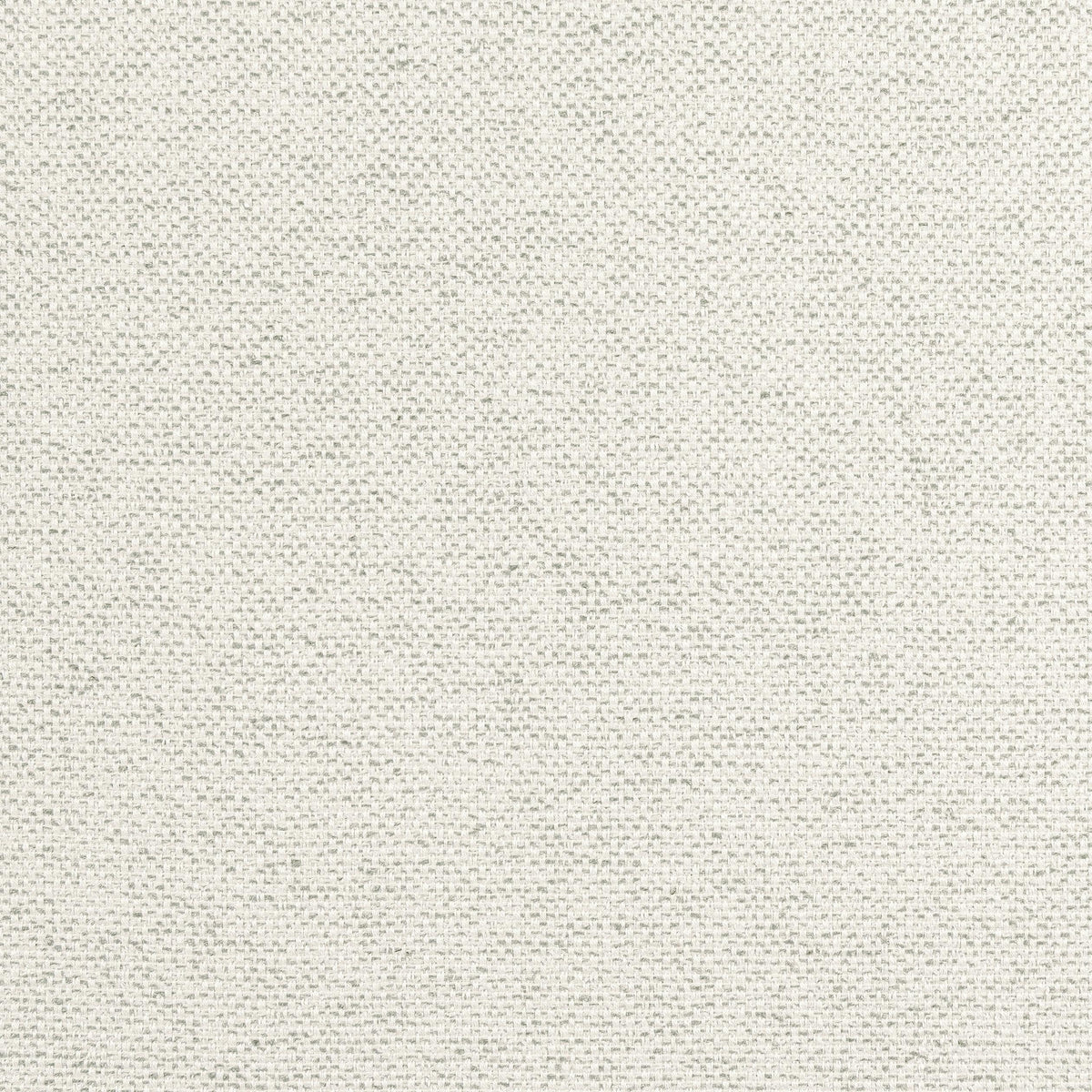 Thibaut Tinta Platinum Fabric