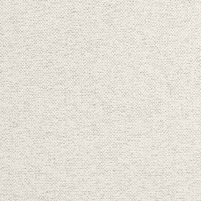 Thibaut Tinta Platinum Fabric