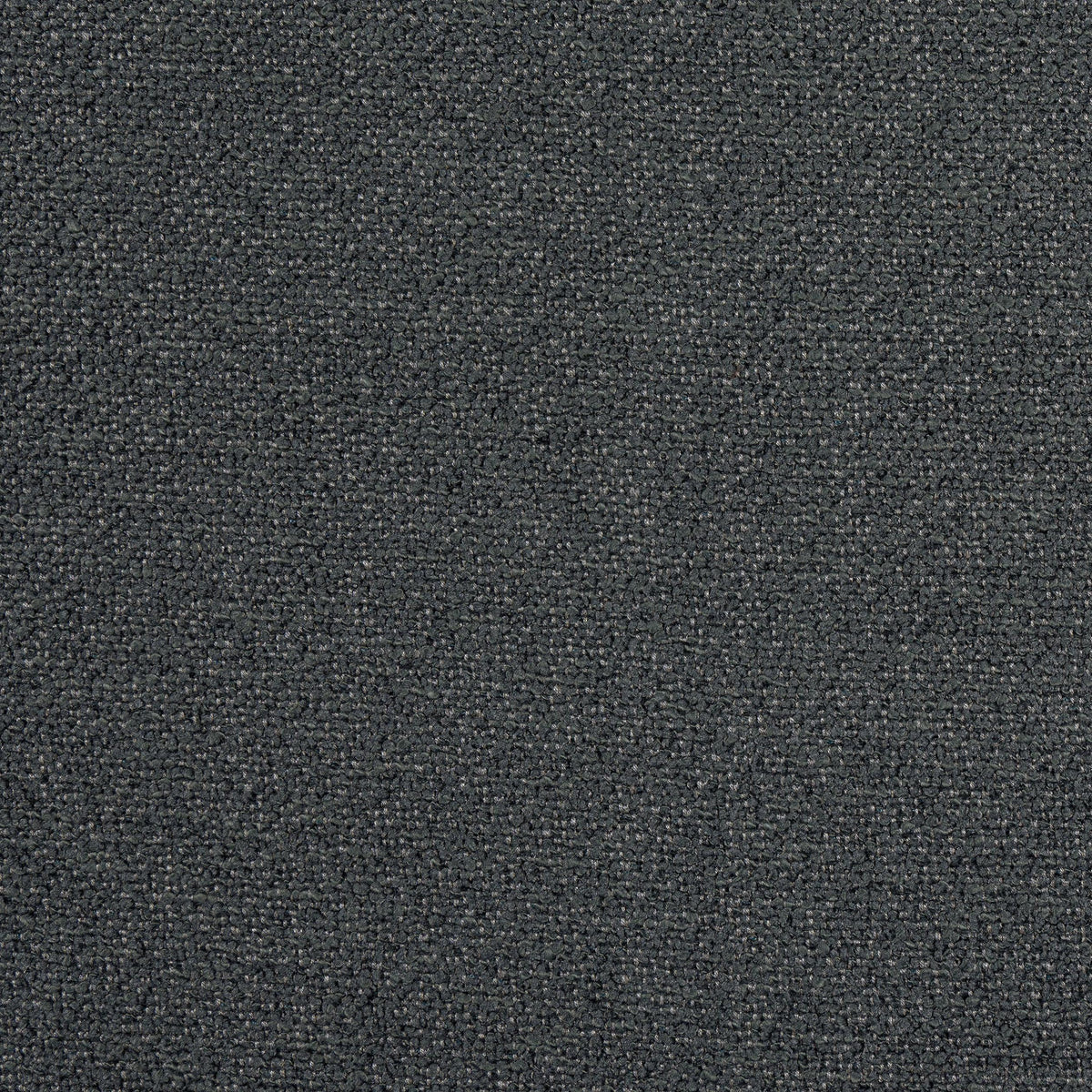 Thibaut Dolcetto Charcoal Fabric