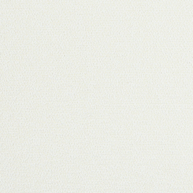 Thibaut Dolcetto Frost Fabric