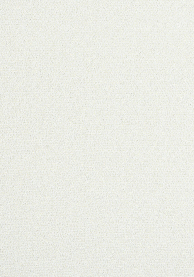 Thibaut DOLCETTO Frost Fabric