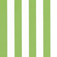 Thibaut CABANA STRIPE Kiwi Fabric