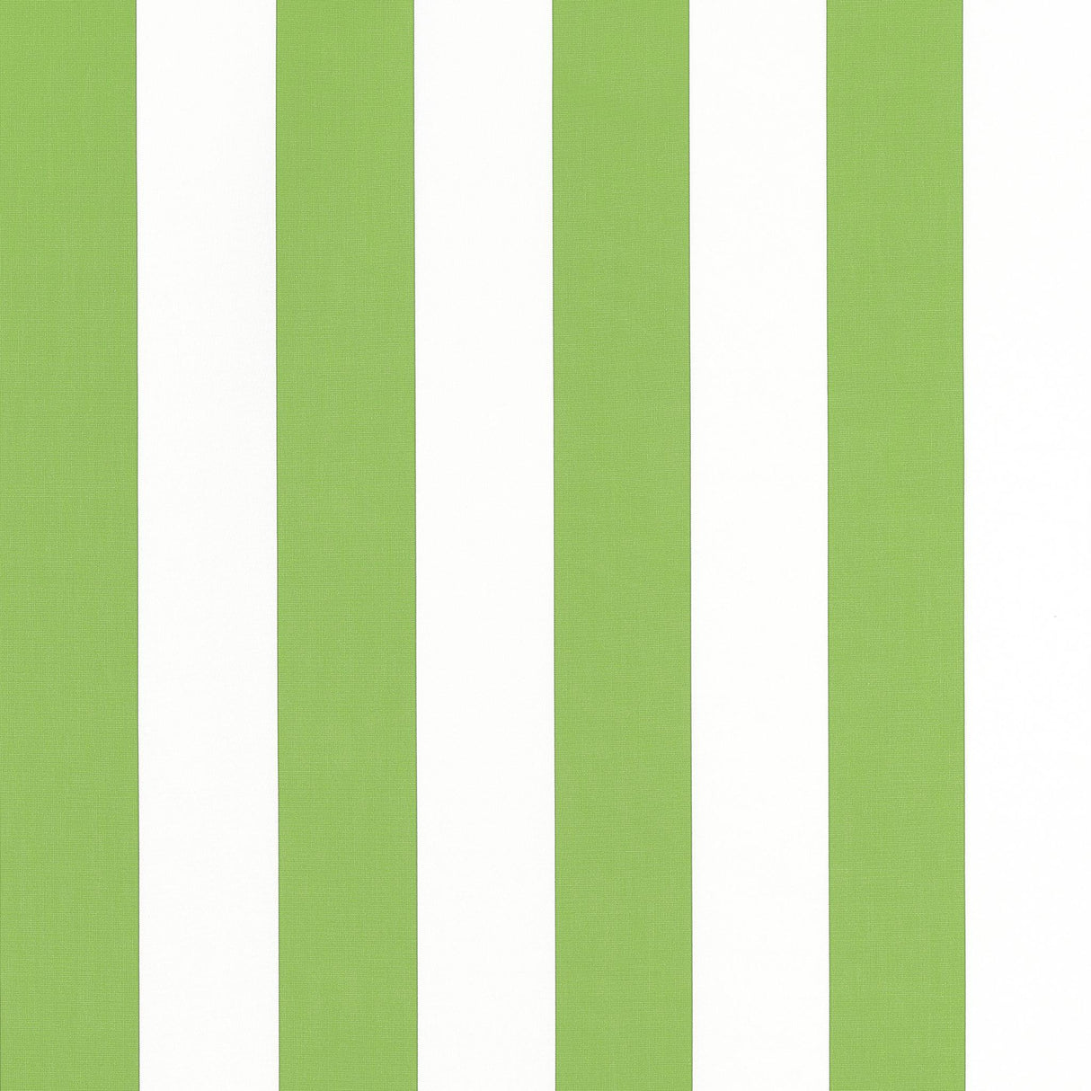 Thibaut CABANA STRIPE Kiwi Fabric