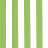 Thibaut CABANA STRIPE Kiwi Fabric