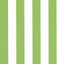Thibaut CABANA STRIPE Kiwi Fabric
