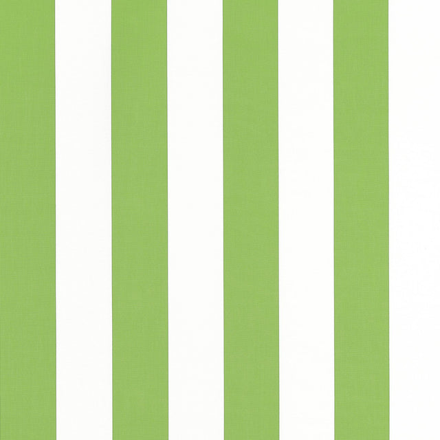 Thibaut CABANA STRIPE Kiwi Fabric