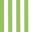 Thibaut Cabana Stripe Kiwi Fabric