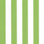 Thibaut Cabana Stripe Kiwi Fabric