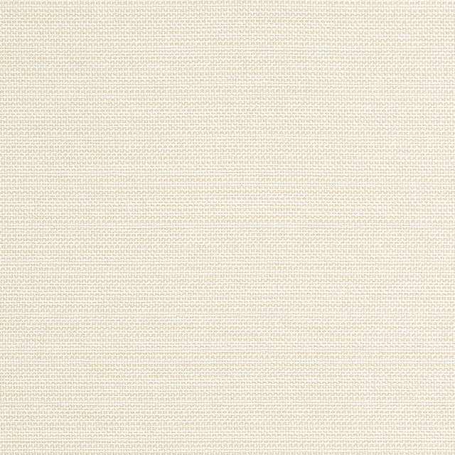 Thibaut CAMERON Sand Fabric
