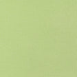 Thibaut TESSA Kiwi Fabric