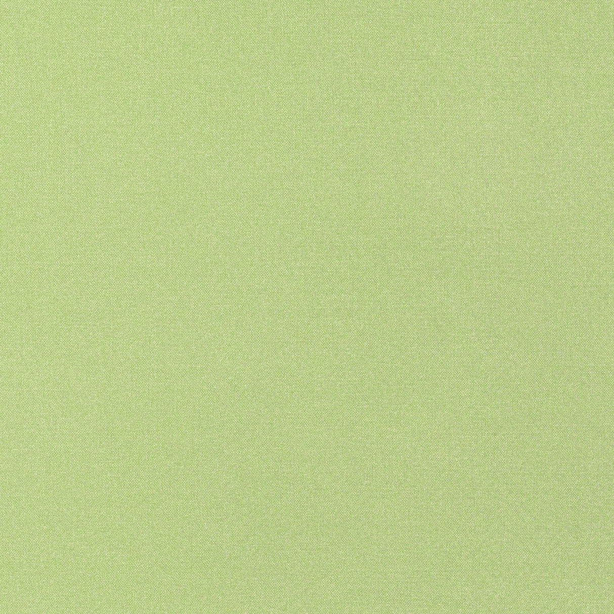 Thibaut TESSA Kiwi Fabric
