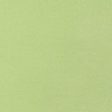 Thibaut TESSA Kiwi Fabric