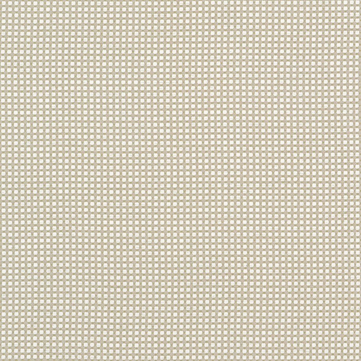 Thibaut DARCY Flax Fabric