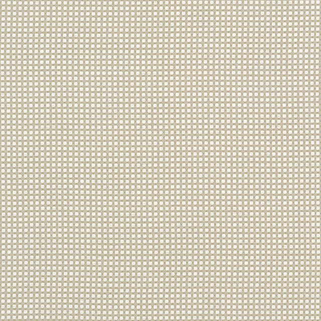 Thibaut DARCY Flax Fabric