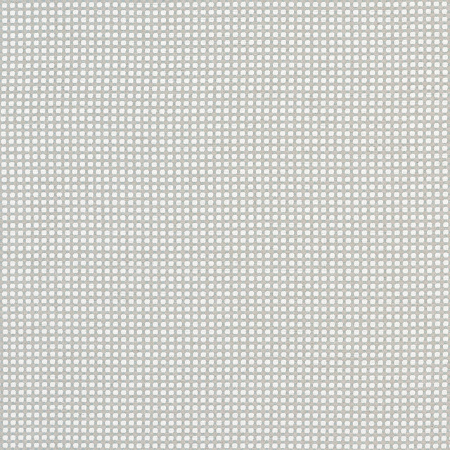 Thibaut DARCY Sterling Fabric