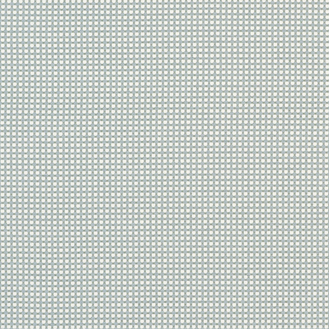 Thibaut Darcy Powder Fabric