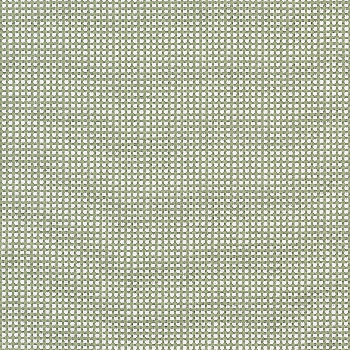 Thibaut DARCY Leaf Fabric