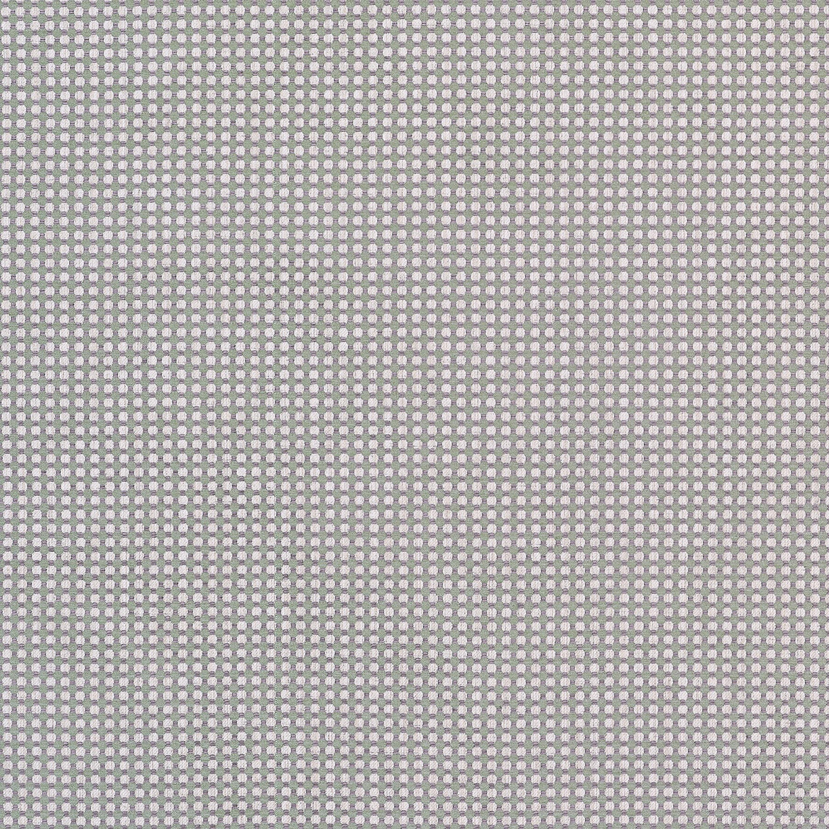 Thibaut Darcy Loden Fabric