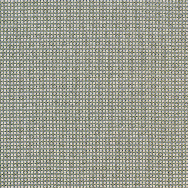 Thibaut DARCY Juniper Fabric