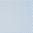 Thibaut GENIE Powder Fabric