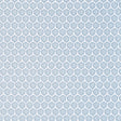Thibaut Genie Powder Fabric