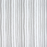 Thibaut Pintado Stripe Sterling Fabric