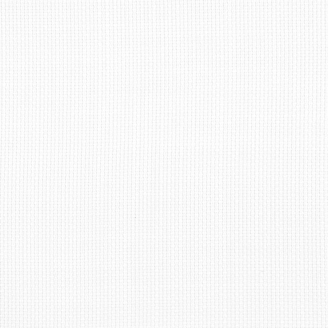 Thibaut RAVENNA Snow White Fabric