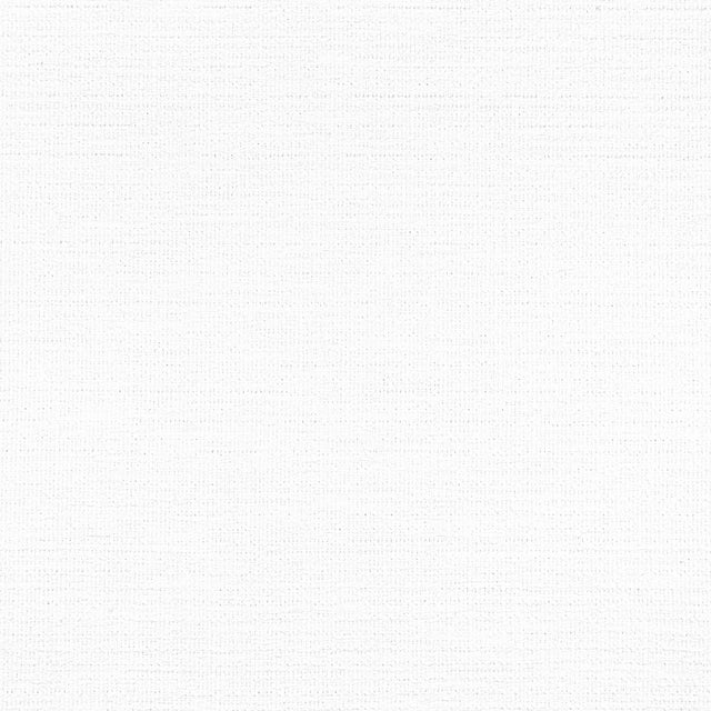 Thibaut PETRA Bleach White Fabric