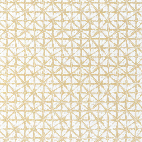 Thibaut SOREN Straw Fabric