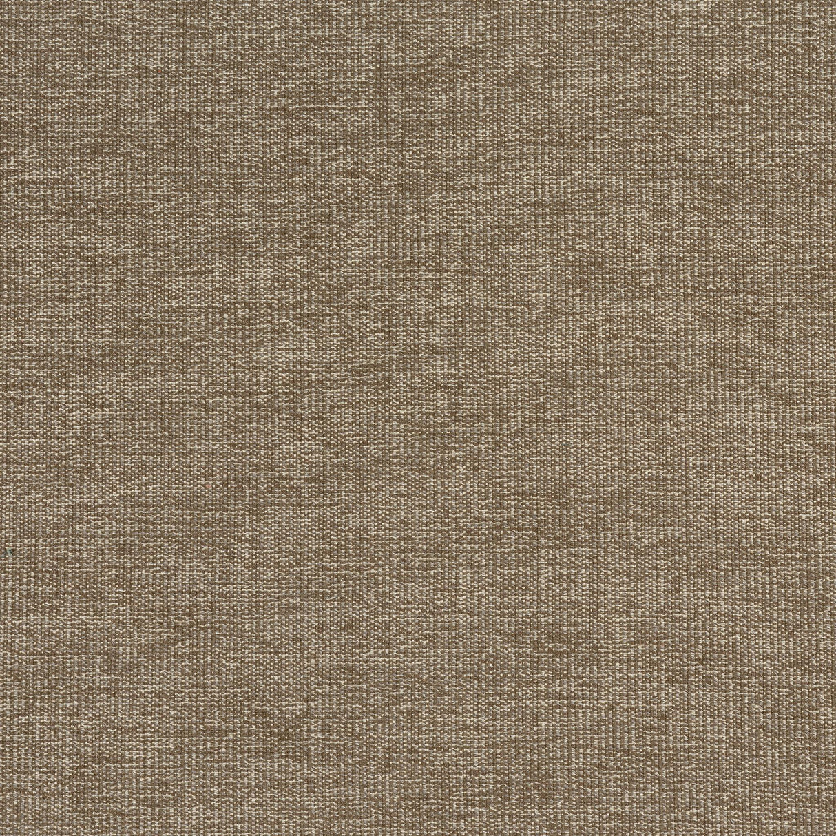 Thibaut SACCHI Mocha Fabric