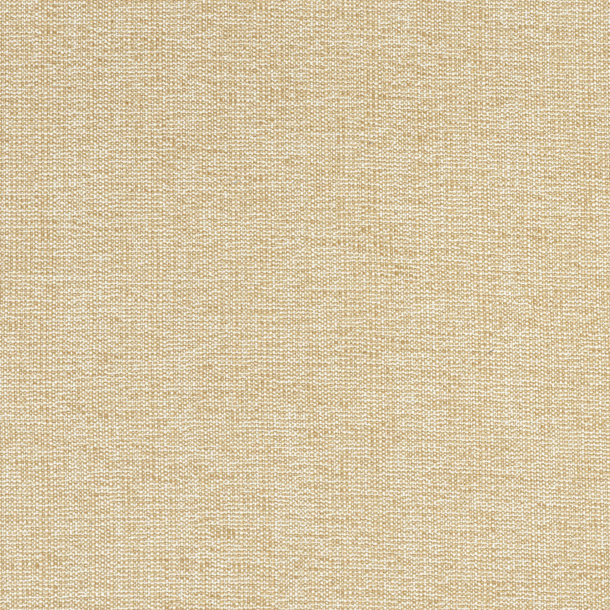 Thibaut SACCHI Caramel Fabric