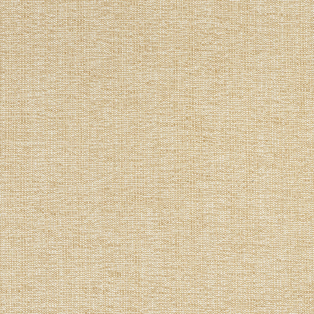 Thibaut SACCHI Caramel Fabric