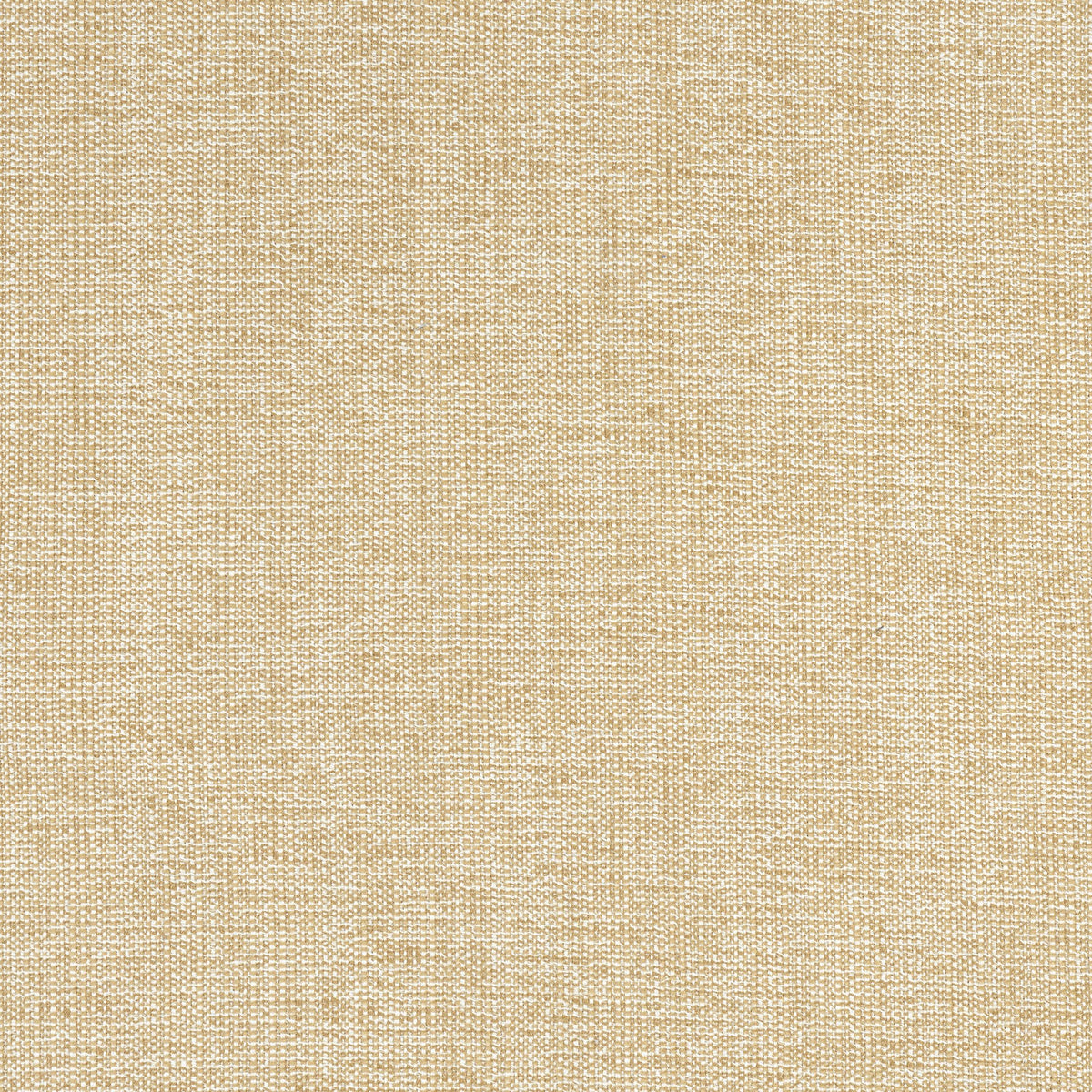 Thibaut Sacchi Caramel Fabric