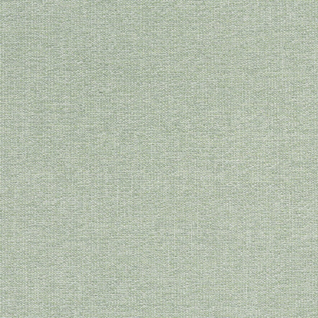 Thibaut SACCHI Aloe Fabric