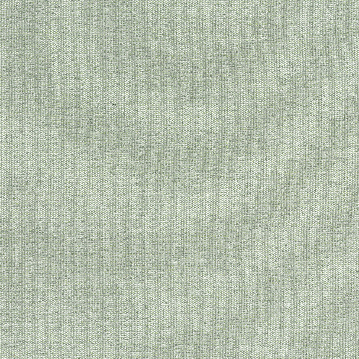 Thibaut Sacchi Aloe Fabric