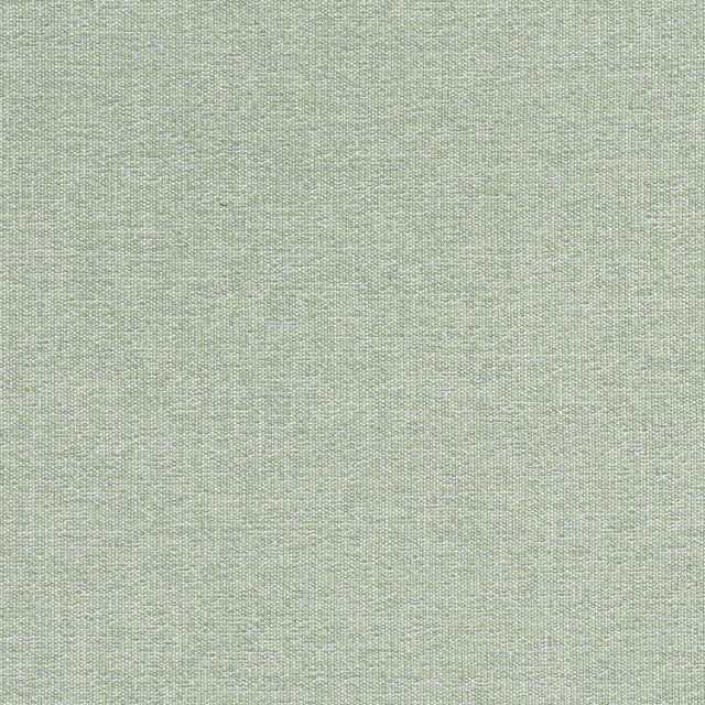 Thibaut Sacchi Aloe Fabric