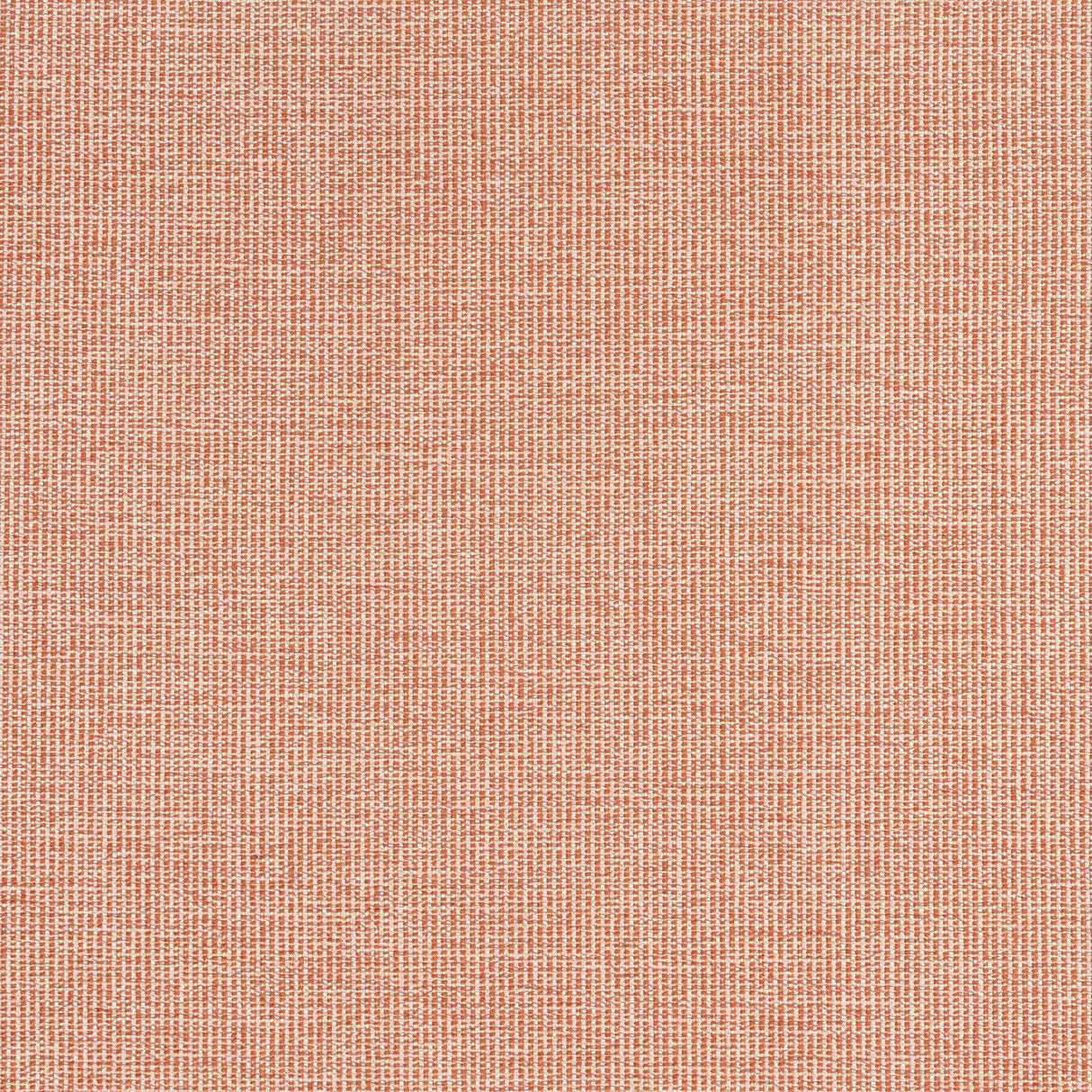 Thibaut SACCHI Terracotta Fabric