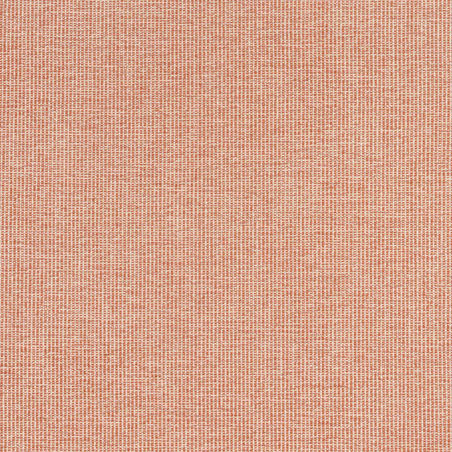 Thibaut SACCHI Terracotta Fabric