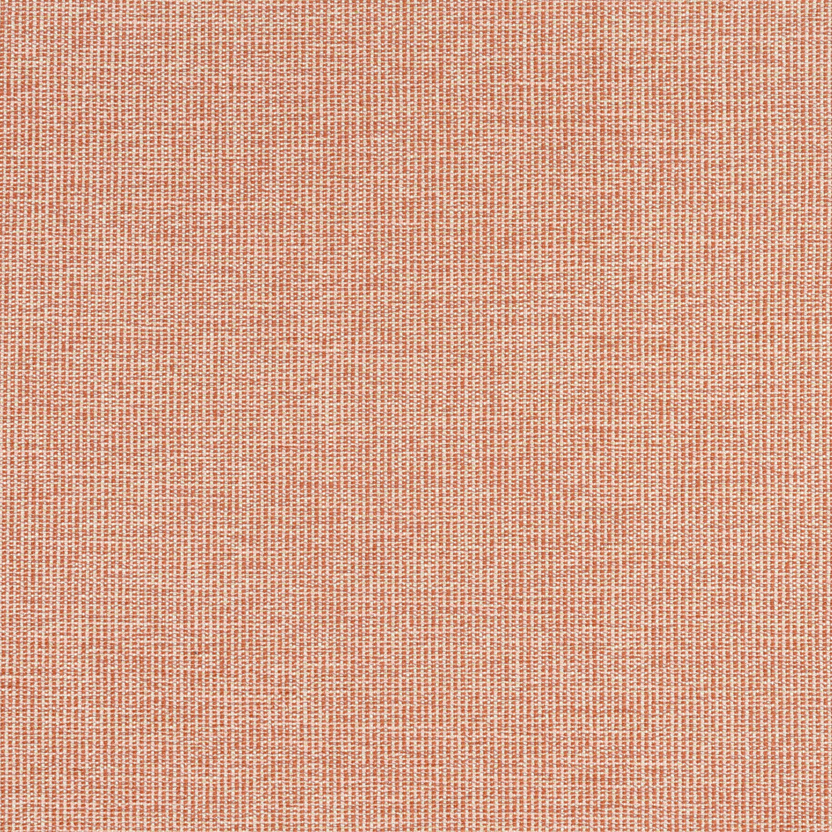 Thibaut Sacchi Terracotta Fabric