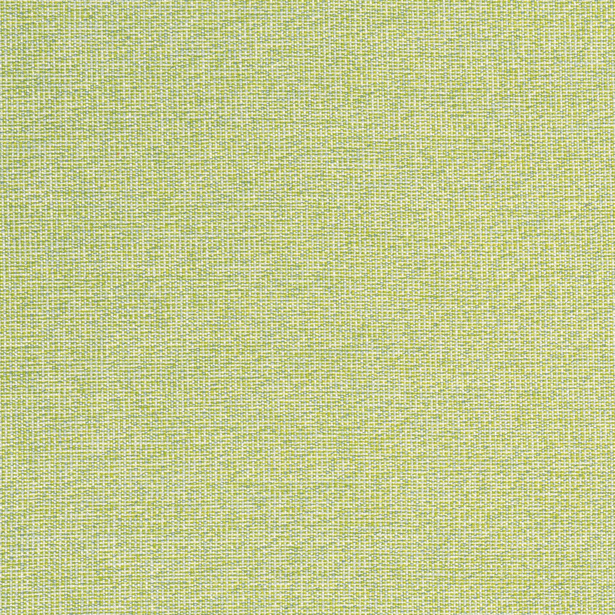 Thibaut SACCHI Leaf Fabric