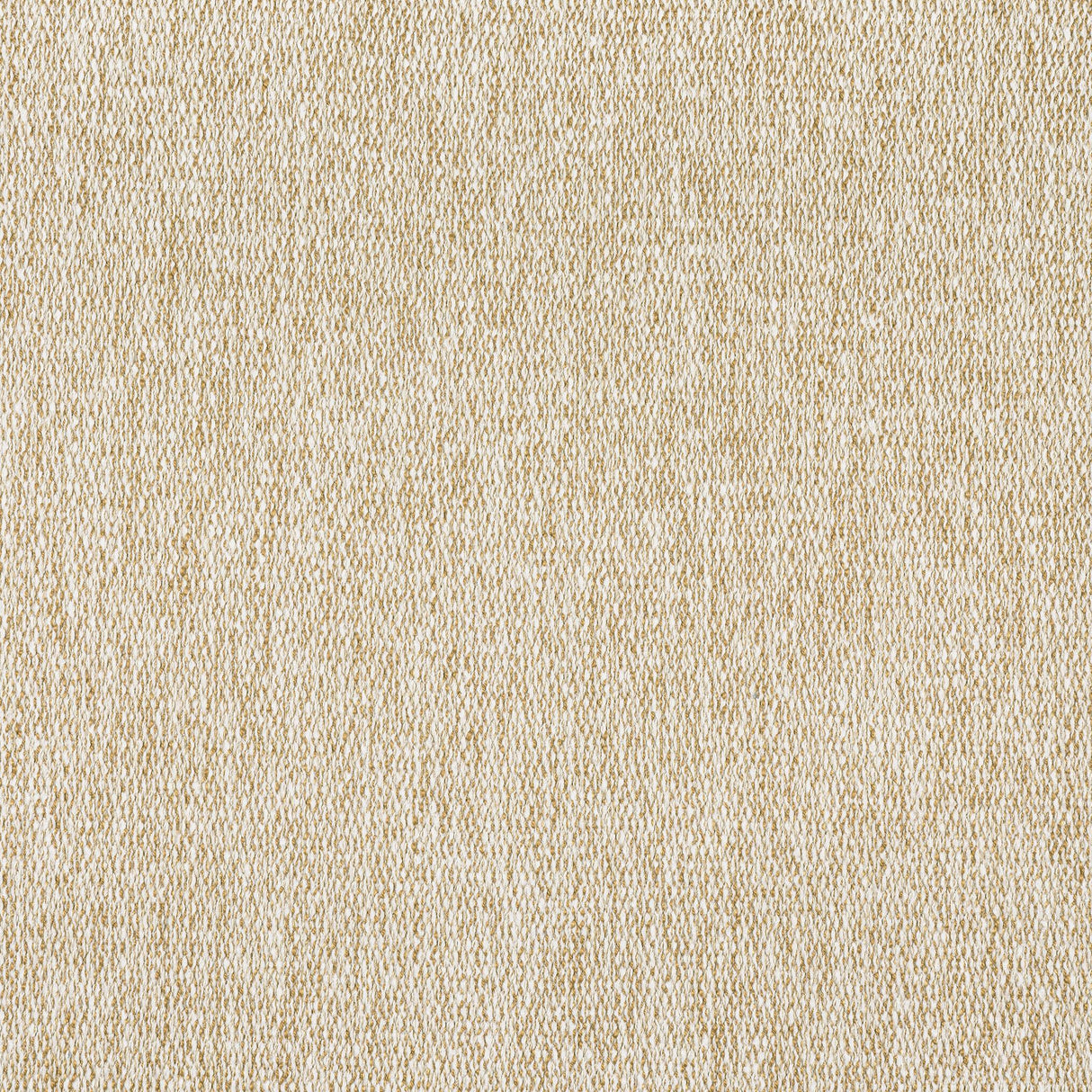 Thibaut ARROYO Caramel Fabric