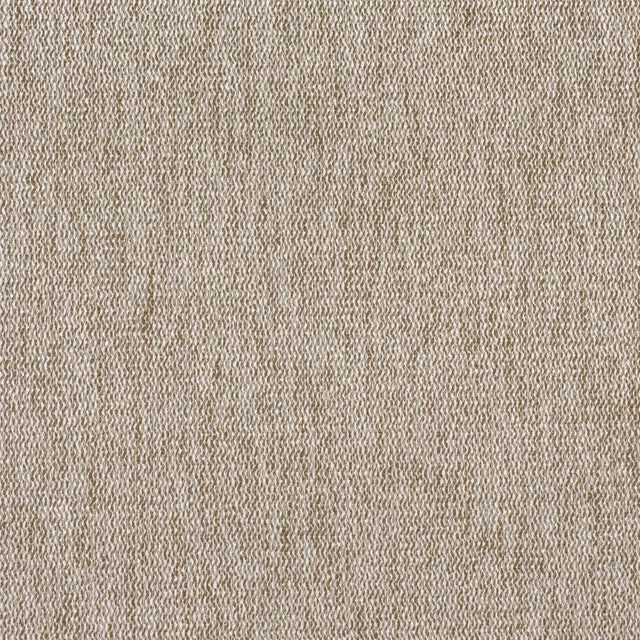 Thibaut ARROYO Latte Fabric