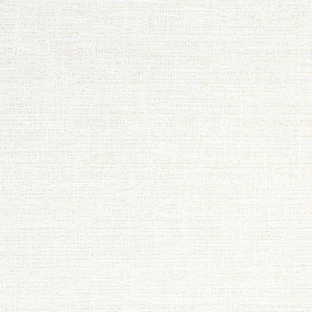 Thibaut ADRIA Salt Fabric