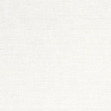 Thibaut Adria Salt Fabric