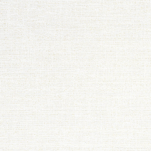 Thibaut Adria Salt Fabric
