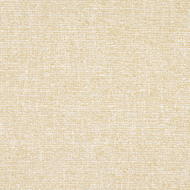Thibaut CALAIS Caramel Fabric