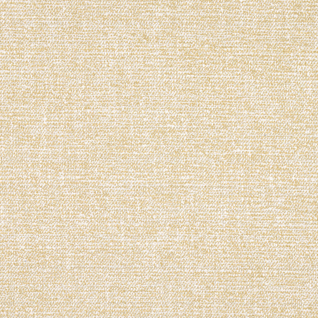 Thibaut Calais Caramel Fabric