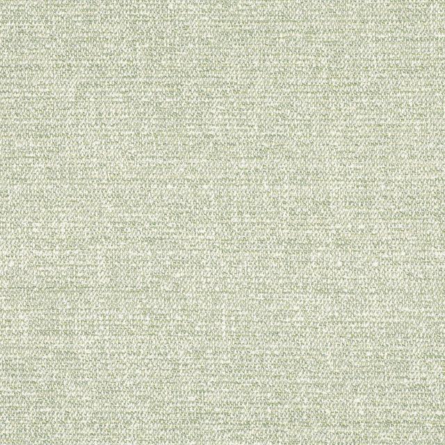 Thibaut CALAIS Aloe Fabric